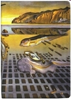 art from Dali museum
